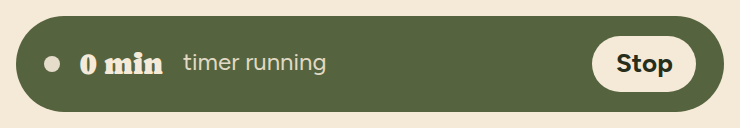 Brown banner at the top of the Statistics screen, with a stopwatch icon, the elapsed time and the word “running”.